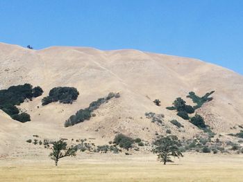 Scenic view of landscape against clear blue sky