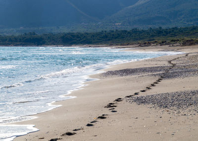 Scenic view of beach