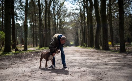 Mid adult man with dog standing on footpath in forest