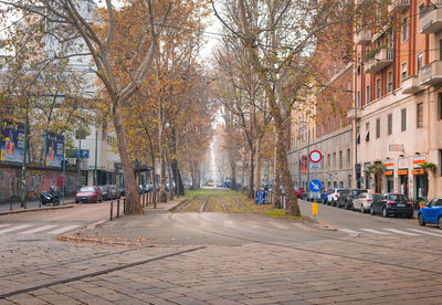 Street amidst trees and buildings in city