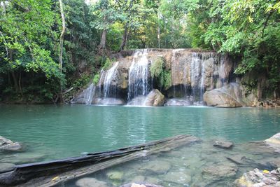 View of waterfall in forest