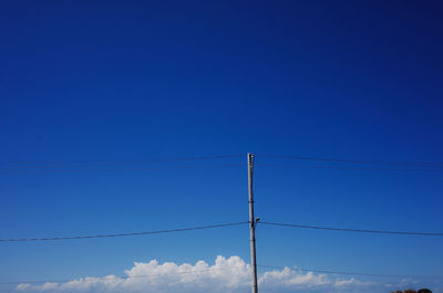 Low angle view of bird flying against blue sky