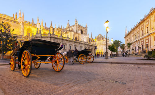 View of horse cart against illuminated building