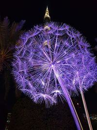 Low angle view of illuminated fireworks against sky at night