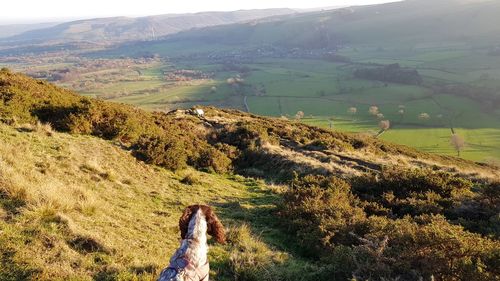 Scenic view of landscape