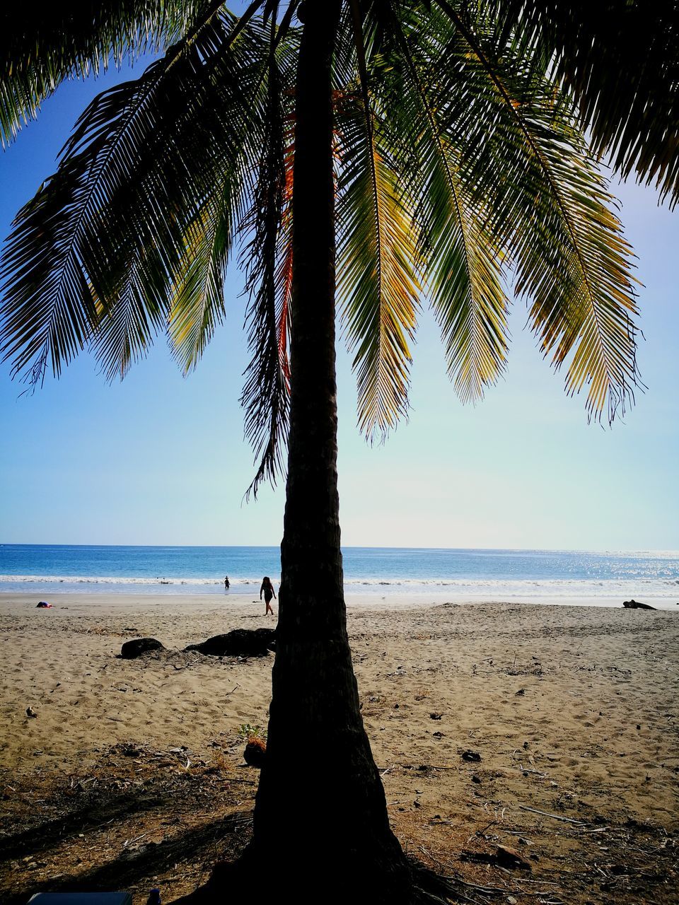 sea, horizon over water, beach, water, nature, sand, sky, tranquil scene, beauty in nature, scenics, tranquility, tree, no people, outdoors, day