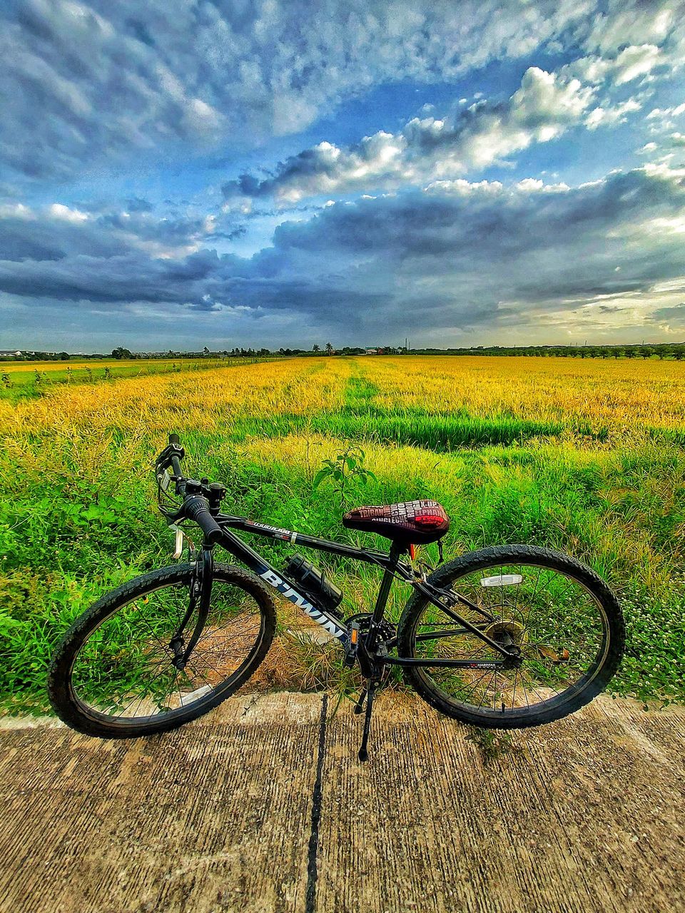 BICYCLE ON FIELD AGAINST SKY