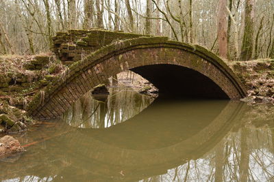 Arch bridge over river in forest