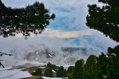 Panoramic view of trees and mountains against sky