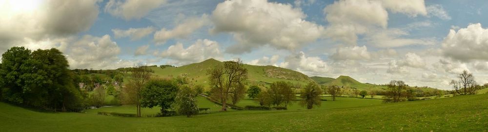 Panoramic view of trees on field against sky