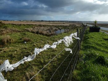 Plastic on the barbed wire fence