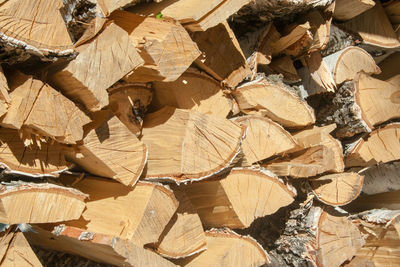 Full frame shot of logs in forest