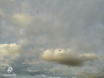 Low angle view of bird flying in sky