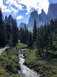 Scenic view of waterfall in forest against sky