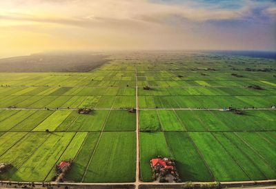 Aerial view of agricultural field during sunset