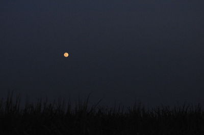 Scenic view of moon against clear sky at night