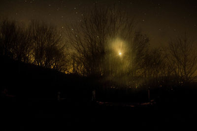 Silhouette trees on field against sky at night