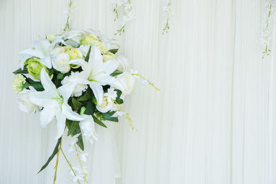 Close-up of white flowers against curtain