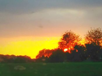 Silhouette trees on landscape against sky at sunset