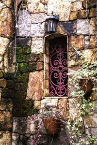 Plants against brick wall