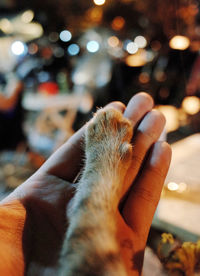 Close-up of person hand