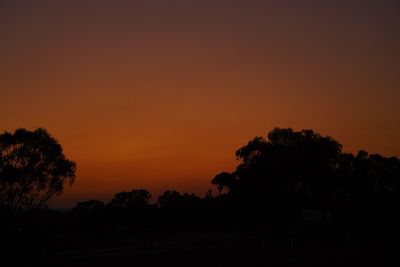 Silhouette trees against orange sky