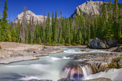 Scenic view of waterfall in forest against sky