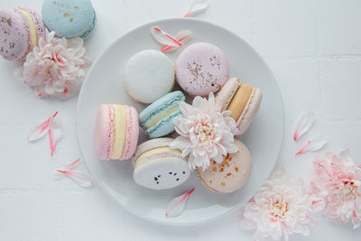 Beautiful colorful tasty macaroons and white flowers on a white tile background