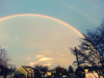 Rainbow over houses and trees against sky