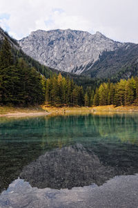 Scenic view of lake by trees against sky