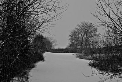 Bare trees on snow covered landscape
