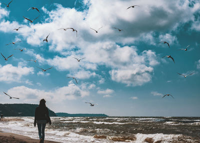 Birds flying over sea against sky