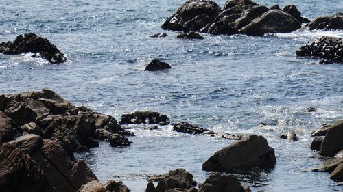 Scenic view of rocks in sea