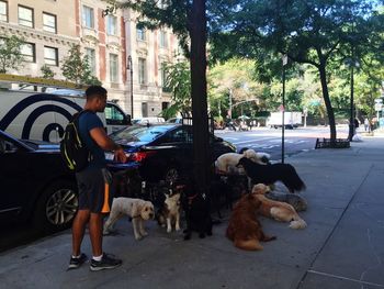 People with dog on road in city