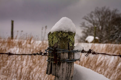 Barbed wire on wooden post against sky during winter