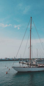 Sailboats sailing in sea against sky