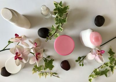 High angle view of pink and white flowers on table