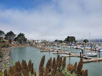 Sailboats in marina