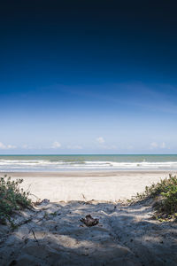 Scenic view of calm beach