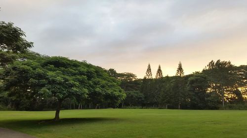 Scenic view of grassy field against cloudy sky