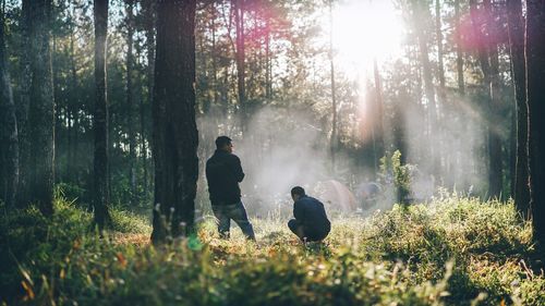 Friends camping in forest during sunny day