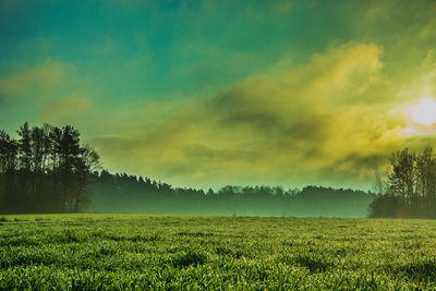 Scenic view of field against sky