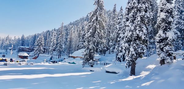 Snow covered trees against sky