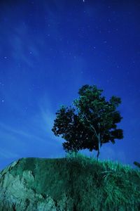 Low angle view of tree against blue sky