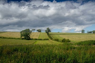 Scenic view of grassy field against cloudy sky