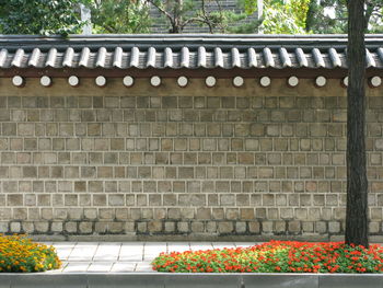 View of wooden wall of building
