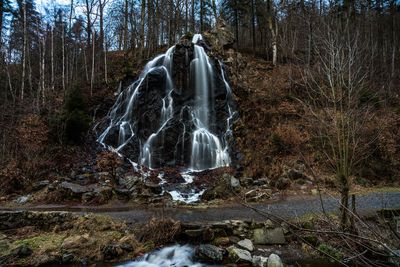 View of waterfall in forest