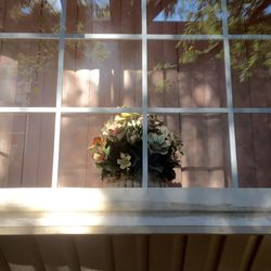 Plant growing in the dark