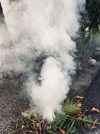 Burning smoke 