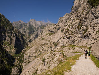 Rear view of people walking on mountain against sky